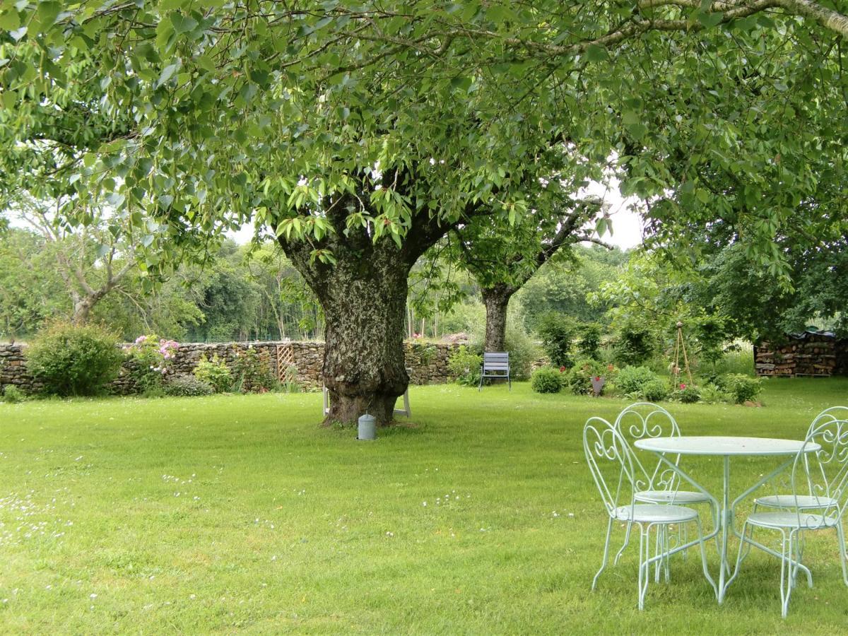 Du Cote De L'Ombriere Bed & Breakfast Geay  Luaran gambar